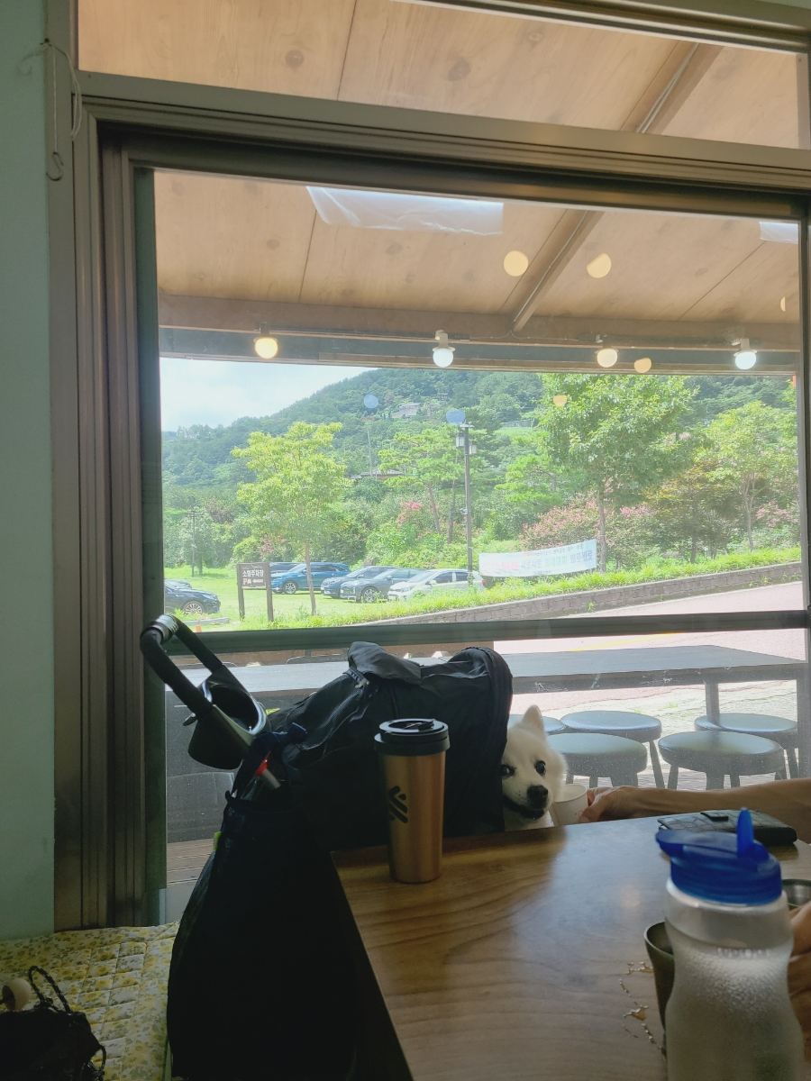 아씨국수 이미지