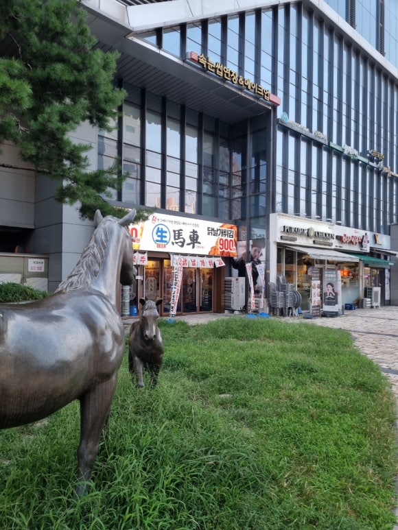 생마차묵동자이점 이미지