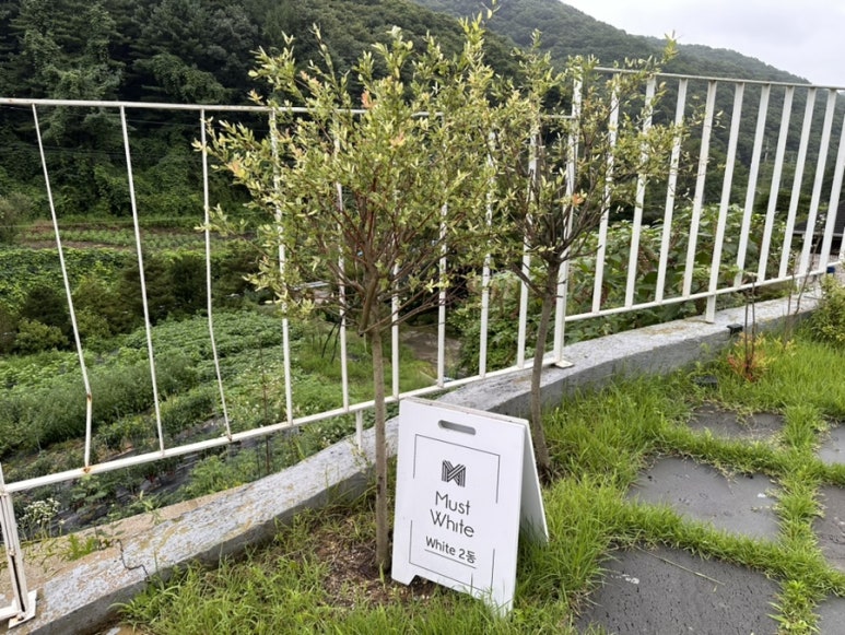 머스트화이트2동 이미지