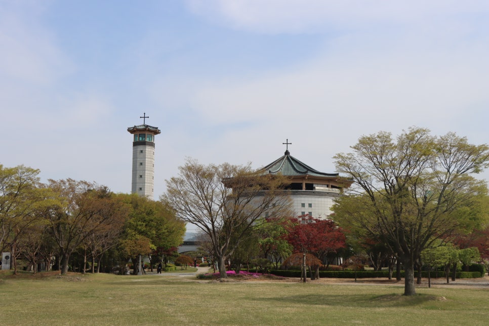 가항국제 이미지