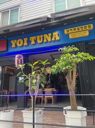 요이참치 이미지