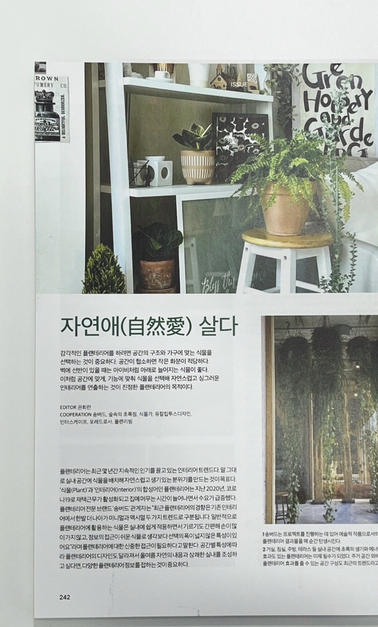 식물가 이미지