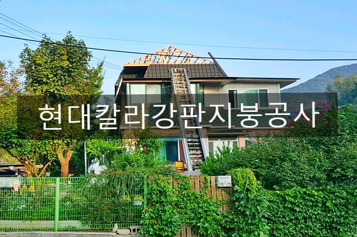 제천현대칼라 이미지