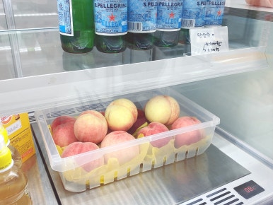 브이요거트 이미지