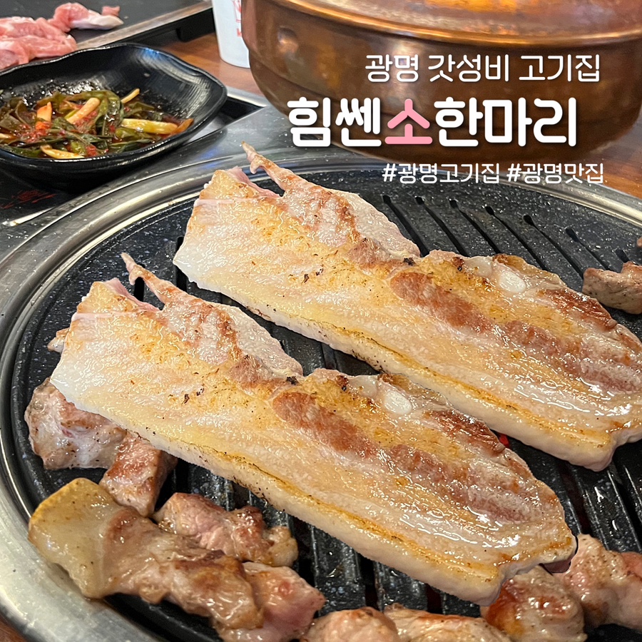 힘쎈소한마리 이미지