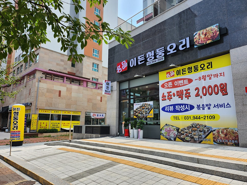 이든청둥오리 이미지