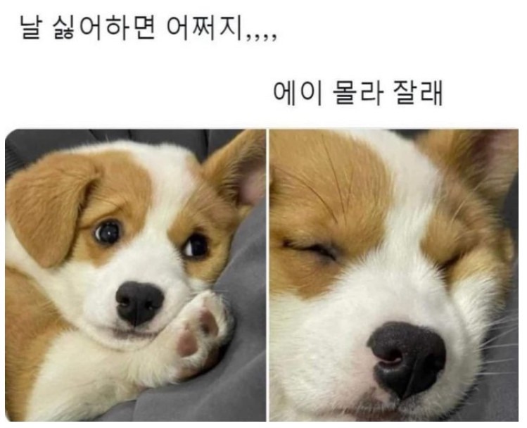 파랑 이미지