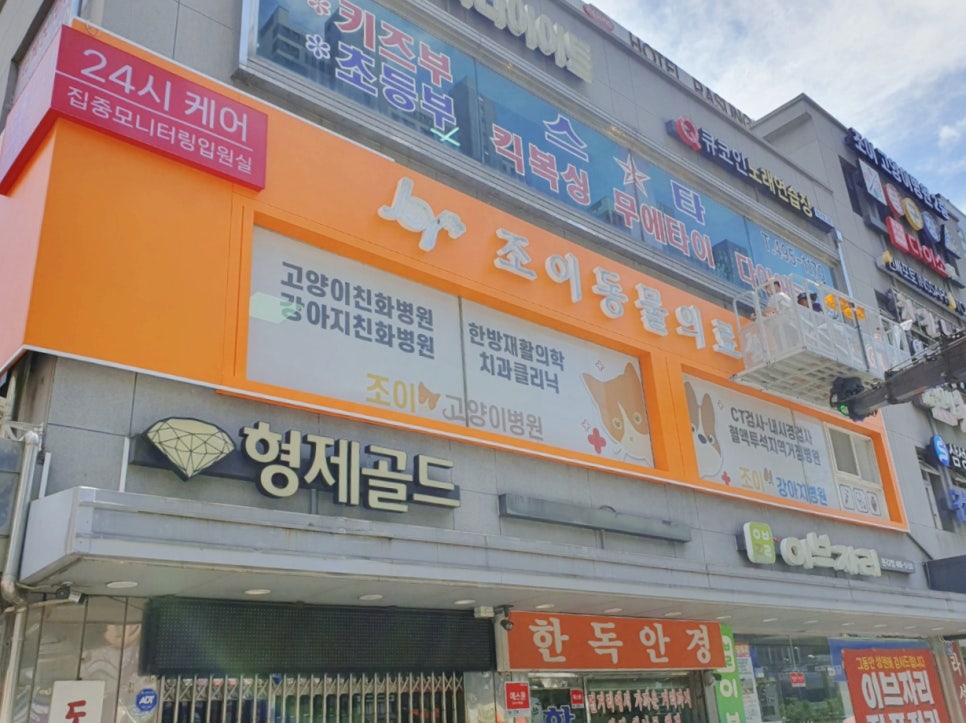 영인실사 이미지