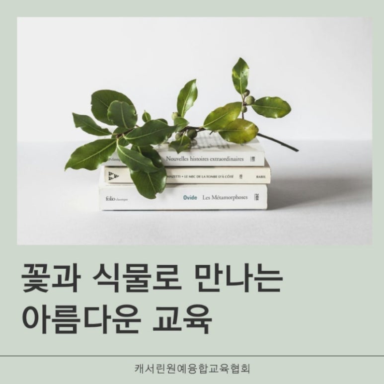아름다운교육 이미지