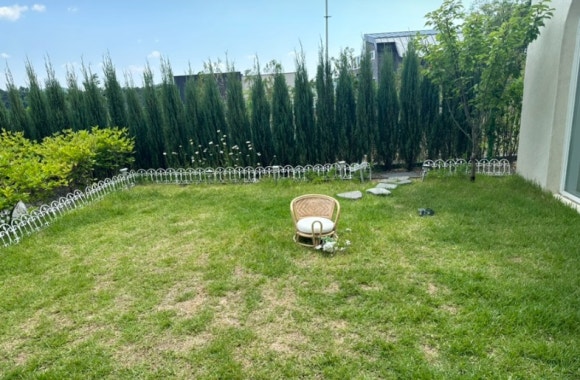 파티수용인 이미지