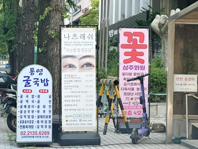 나츠래쉬 이미지