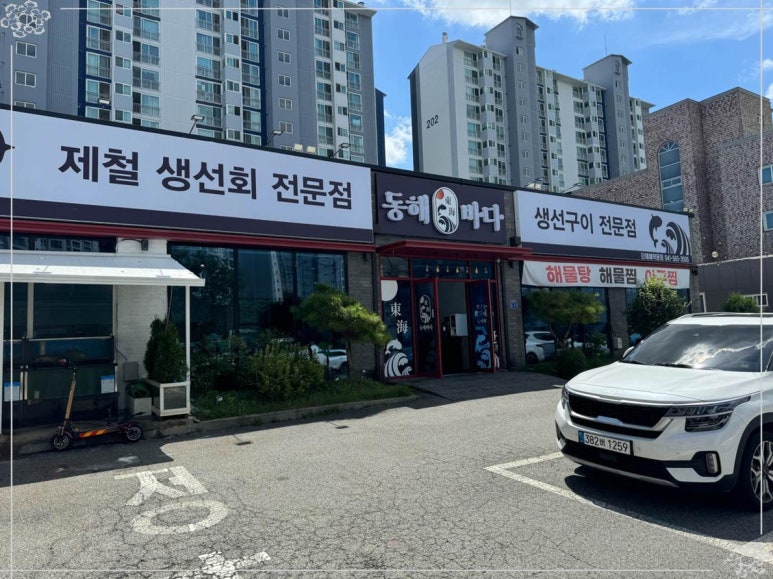 동해바다회 이미지