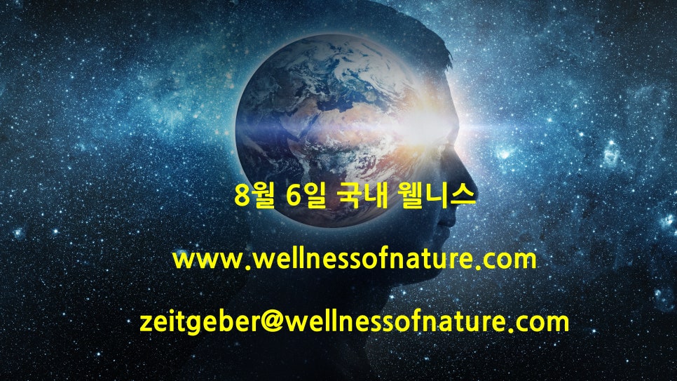 타이드스퀘어투어비스 이미지