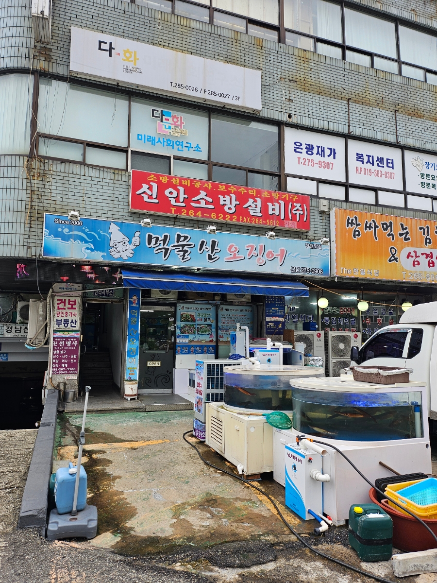 먹물산오징어 이미지