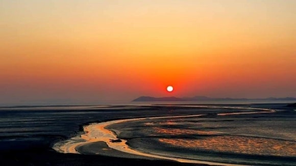 수림정 이미지