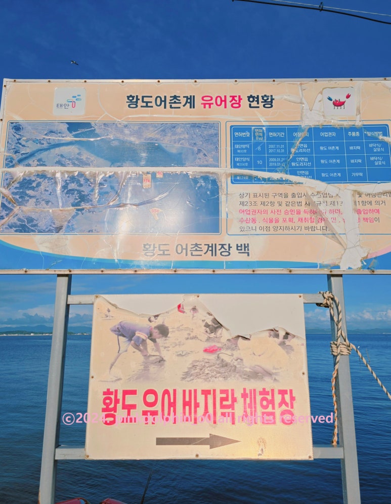 뜰앞바다 이미지