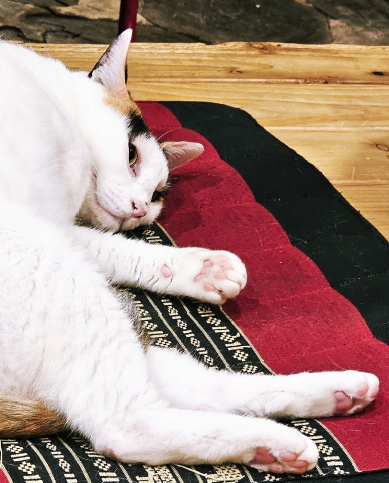 안녕, 선영씨 이미지
