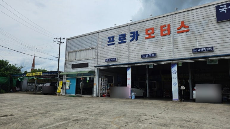 프로카모터스 이미지