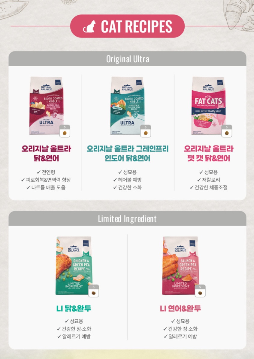 팻캣 이미지