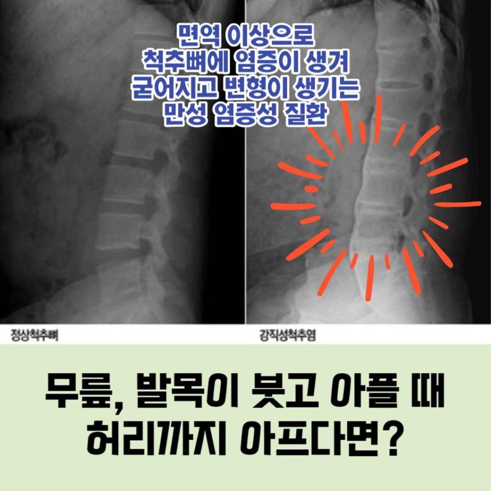 참내과의원 이미지