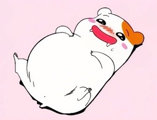 황가네 닭갈비 이미지
