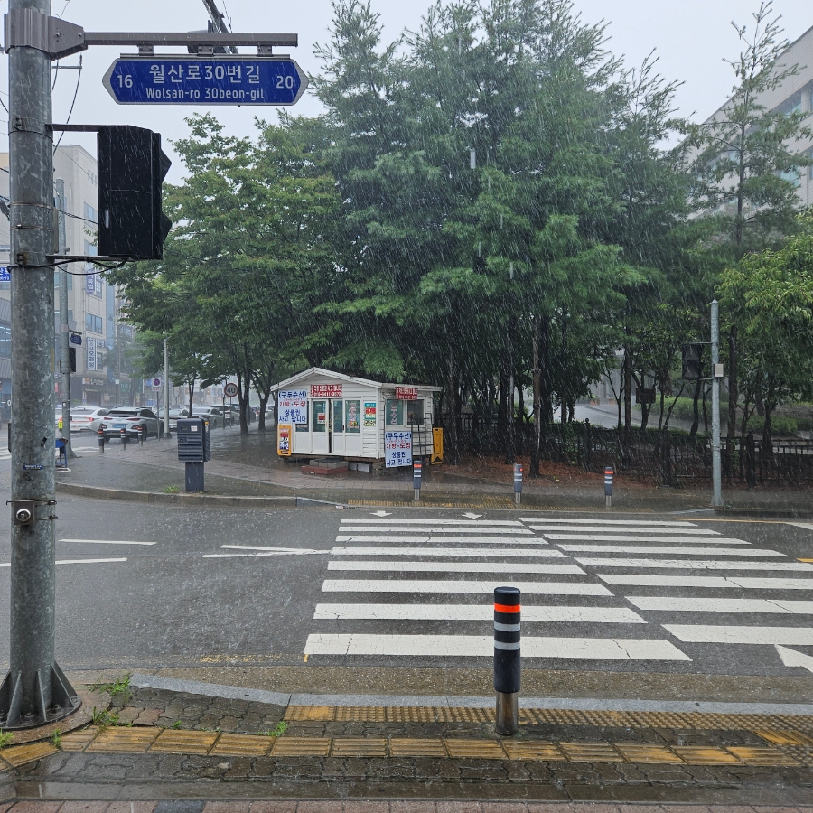 밀터칼국수홍성점 이미지