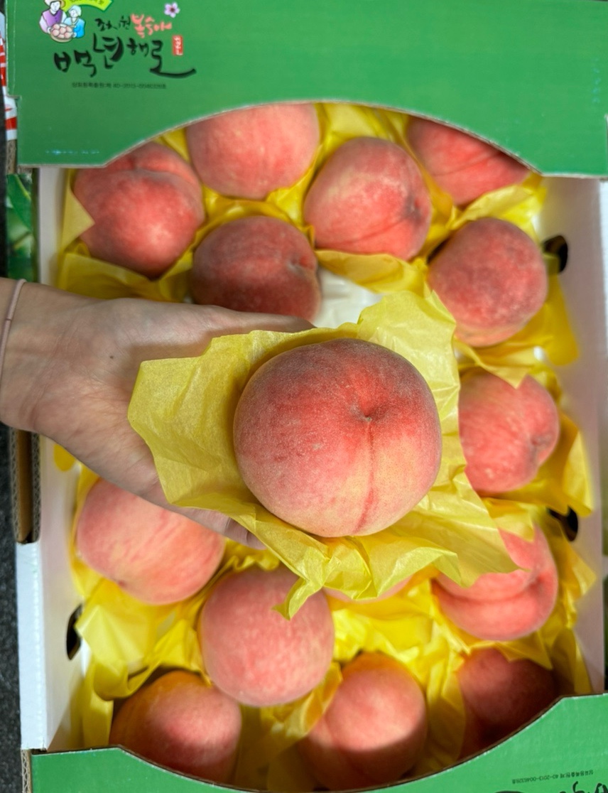 청수과일 이미지