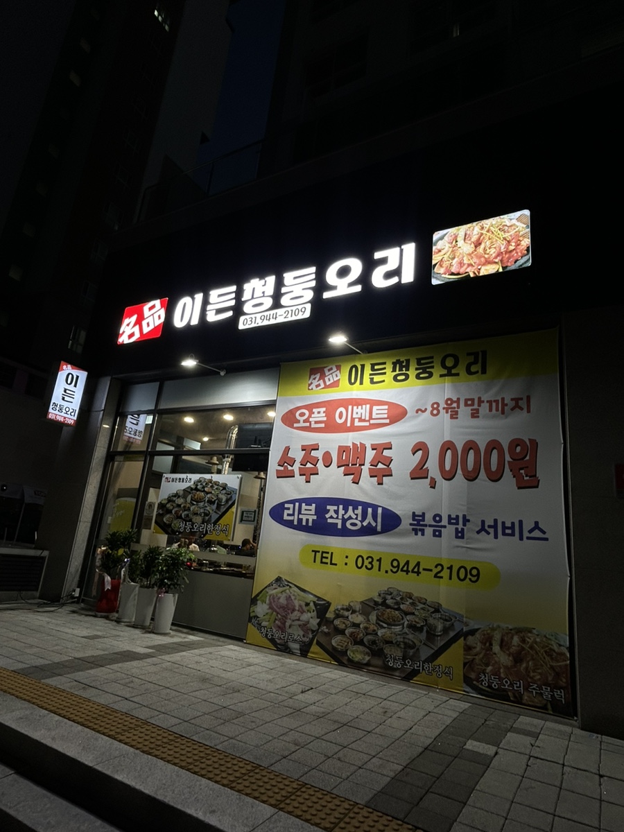 이든청둥오리 이미지