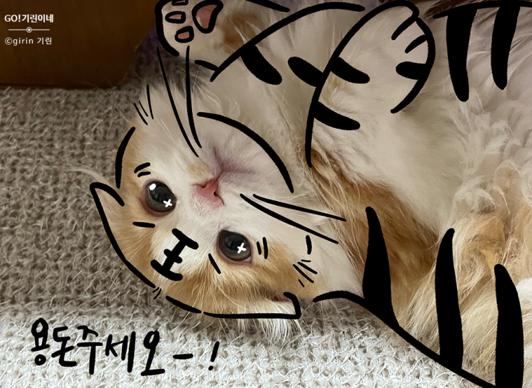 소소한 몽땅이네 이미지