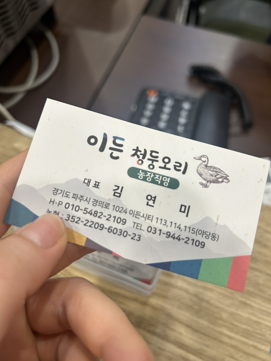 이든청둥오리 이미지