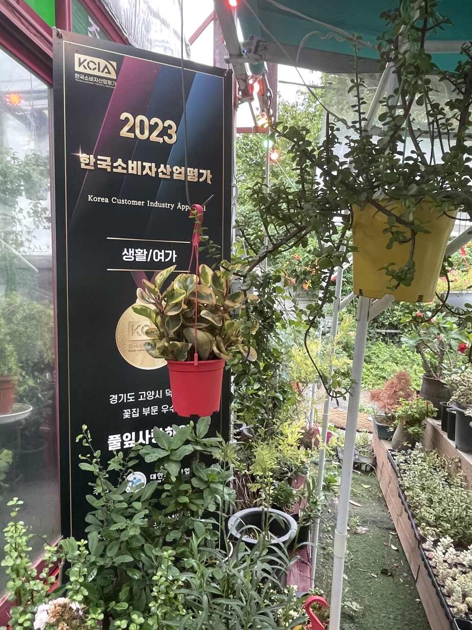 풀잎사랑화원 이미지