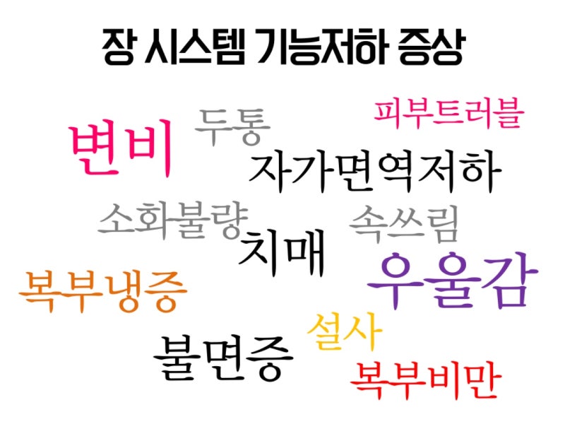 트윈스킨 이미지