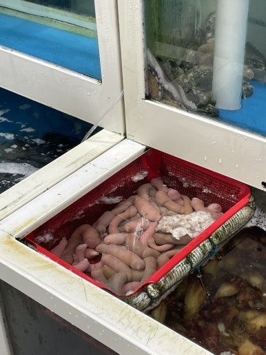 칠곡횟집 이미지
