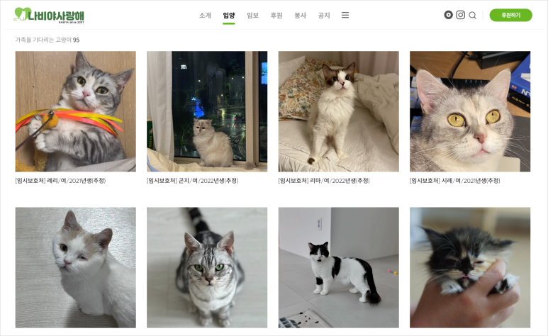 국제가요샵 이미지