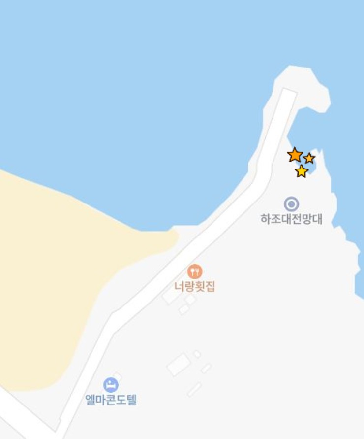 송이전집 이미지