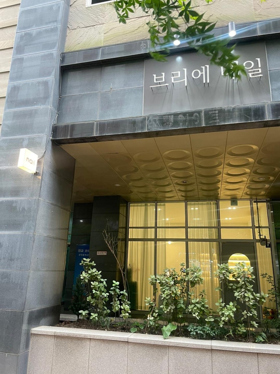 네일브리에 이미지