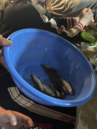 영진애드 이미지