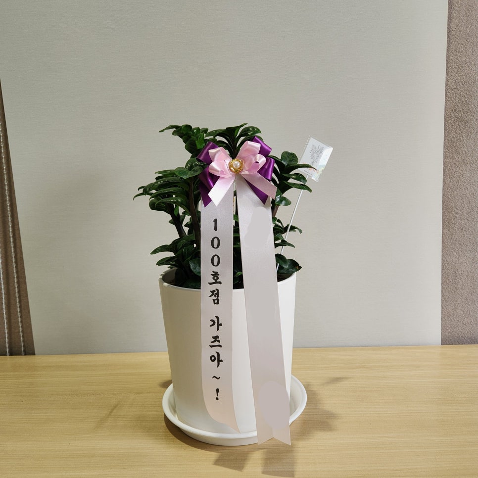 동탄화분팜 이미지