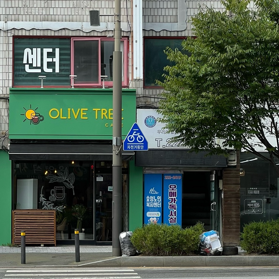 올리브트리카페 이미지