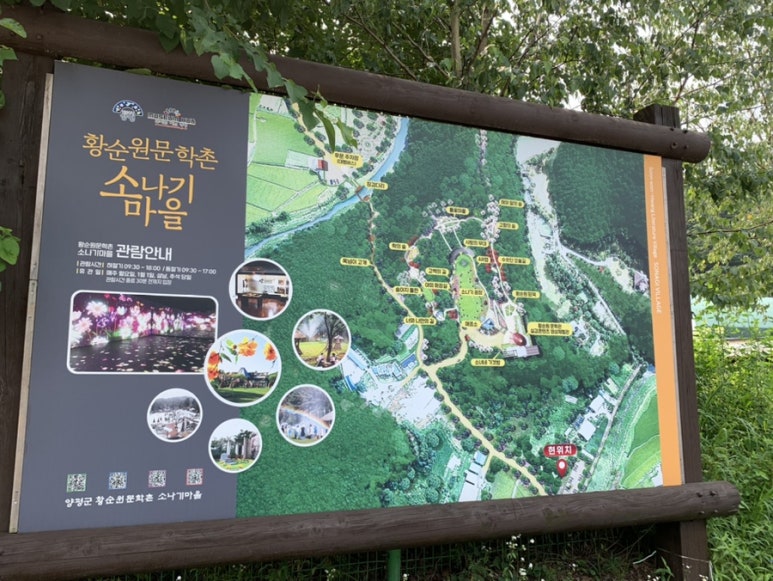 임실쌀피자 이미지