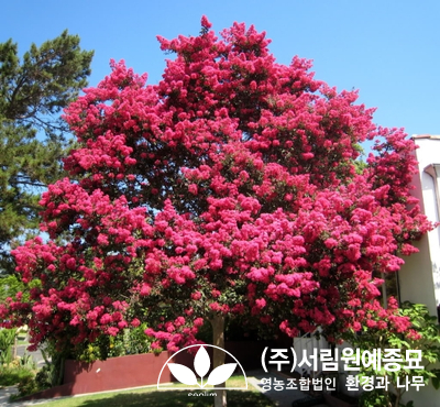 조경설계서림 이미지