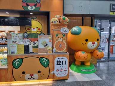 오렌지렌트카 이미지