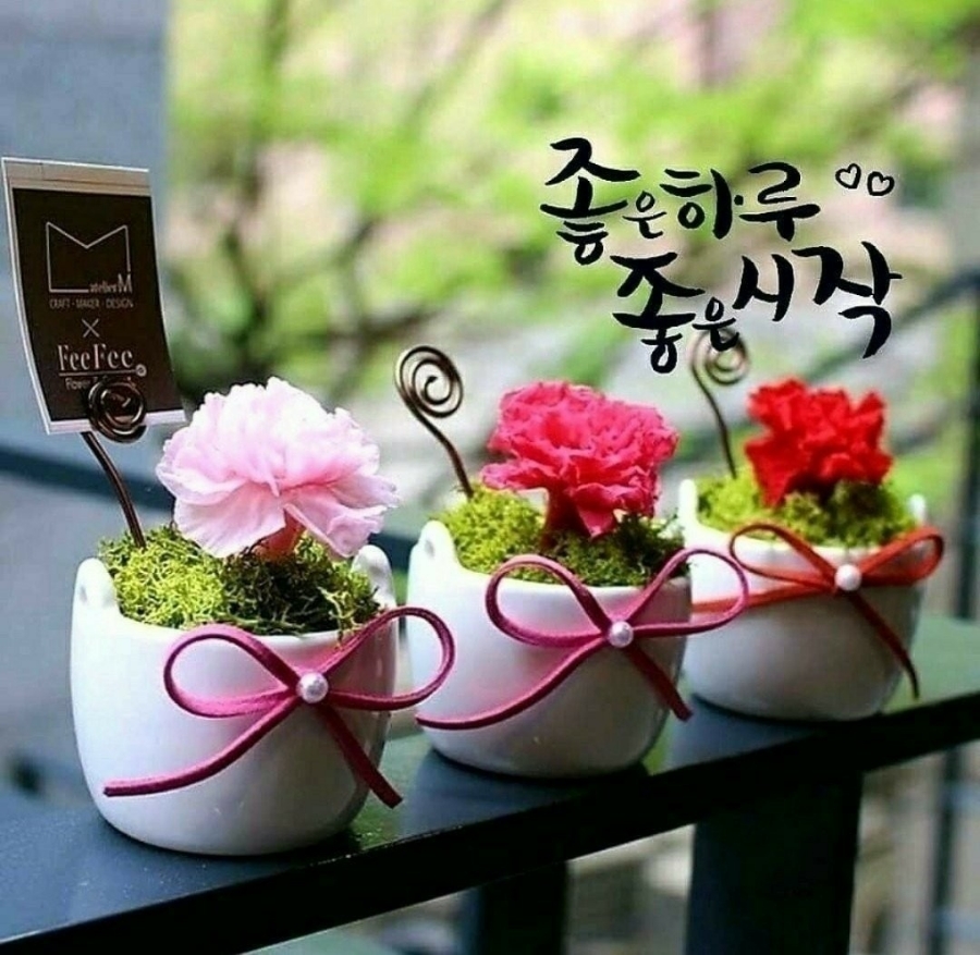 우리아네일 이미지