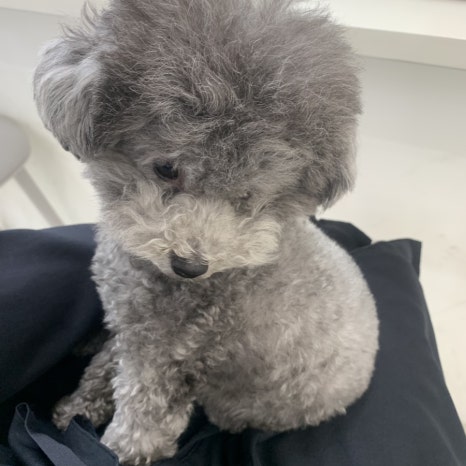 유니헤어 이미지