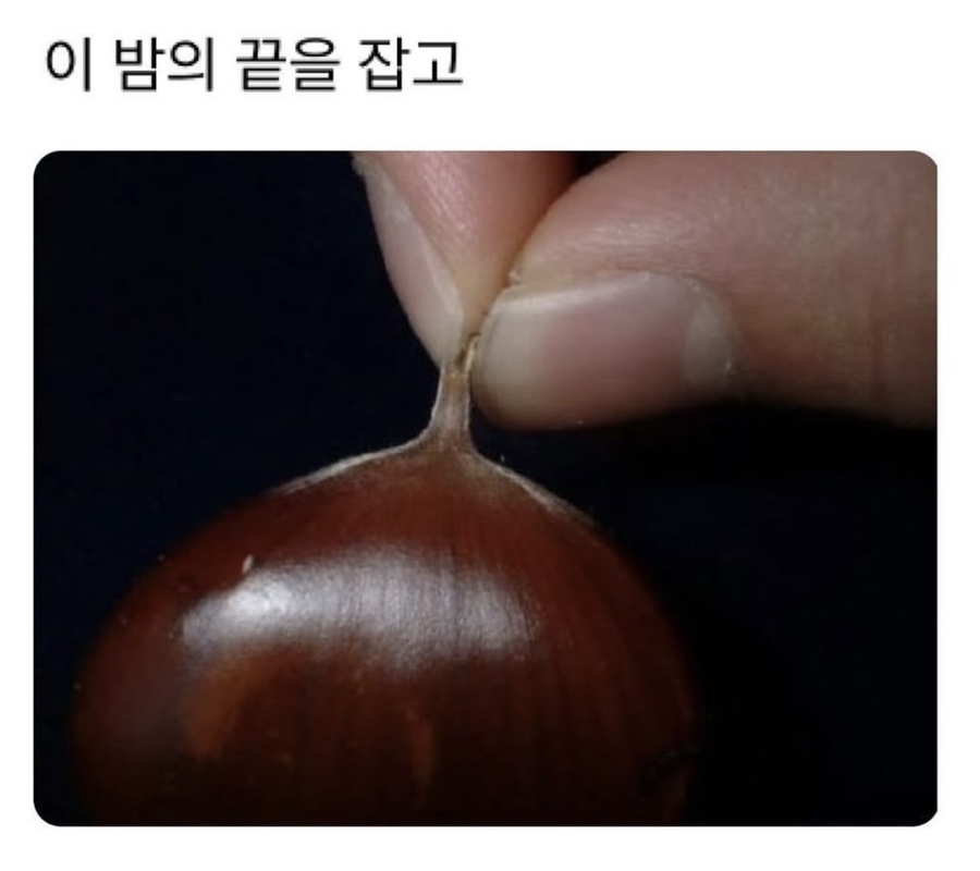 도파밍 이미지