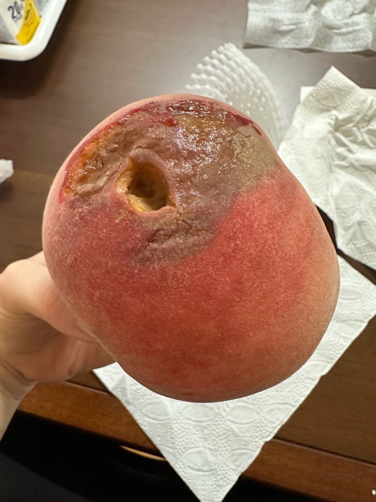 하늘꽃농원 이미지