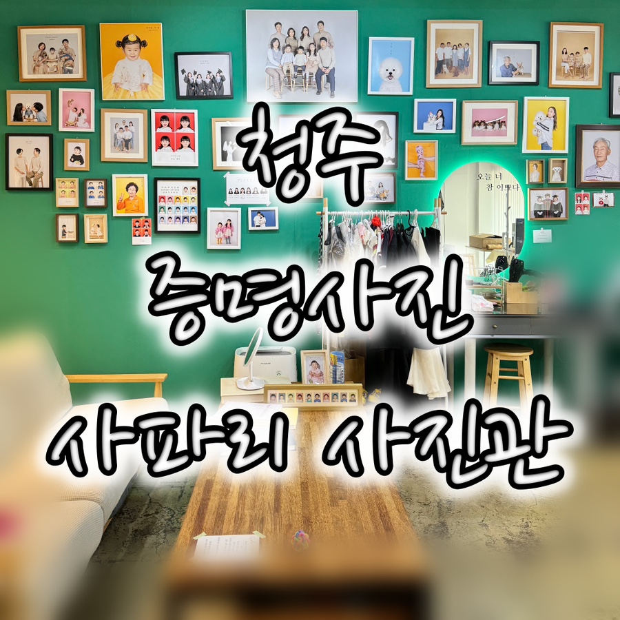 사파리사진관청주점 이미지