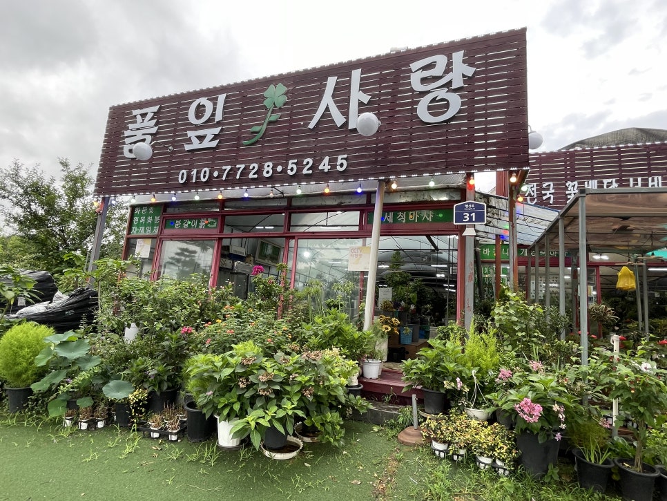 풀잎사랑화원 이미지