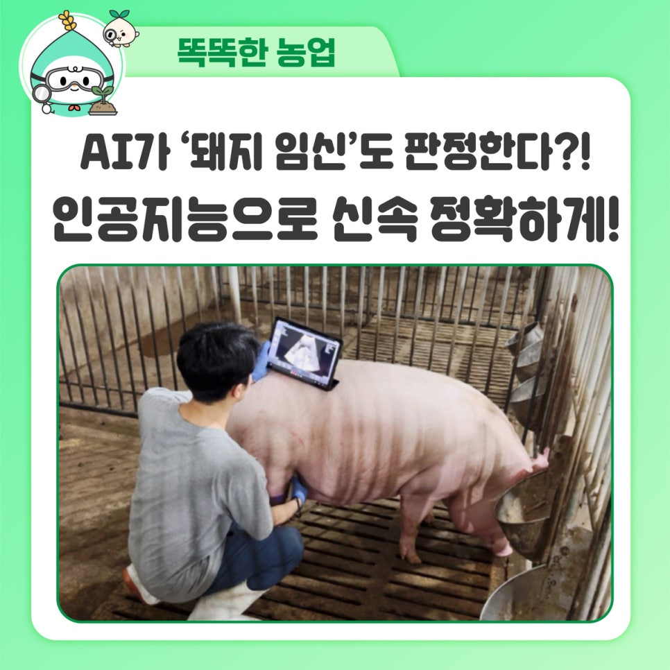 아자인력 이미지