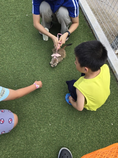 (주)히어로플레이파크청주 이미지